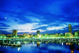 Academia de español en Alicante, Berlingua